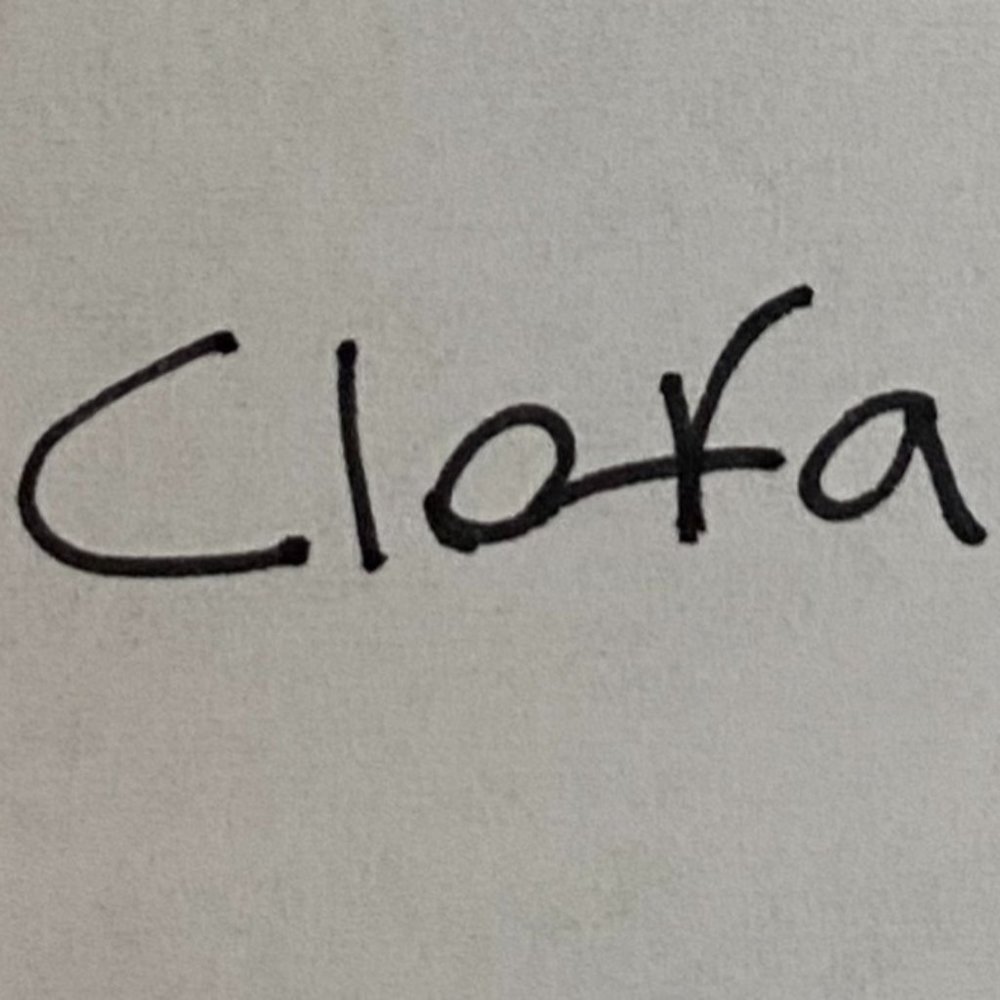 Ted Baker Gray Bir Print Dress Size 0 US size 2 - Picture 8 of 8